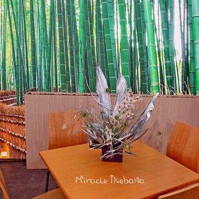Miracle Ikebana Mitzubiti Avtosalov 2