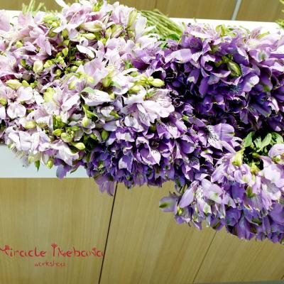Miracle Ikebana Workshop Amusnet 01 E