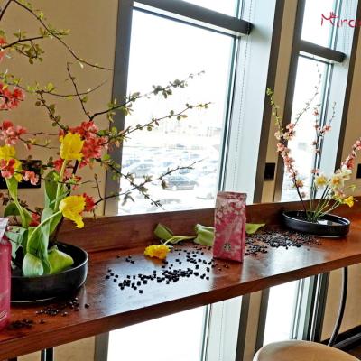 Miracle Ikebana Tvorceska Rabotilnica Starbucks 006