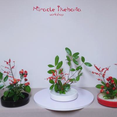Miracle Ikebana Tvorceska Rabotilnica Naos 03