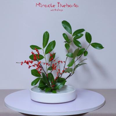 Miracle Ikebana Tvorceska Rabotilnica Naos 07