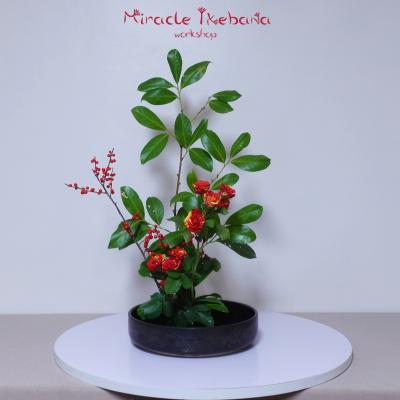 Miracle Ikebana Tvorceska Rabotilnica Naos 09